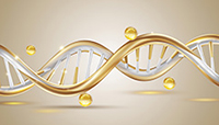遺伝子を知れば本当の自分が見つかる！